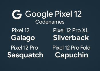 Google Pixel 12: già noti i nomi in codice