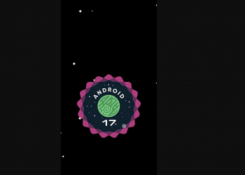 Landroid arriva nell’easter egg di Android 17