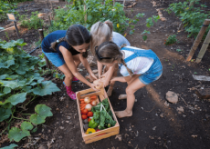 Microsoft Lombardia Community Challenge