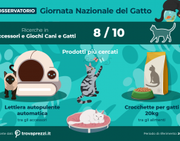Giornata nazionale del gatto: boom di ricerche online