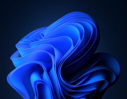 Windows 11 dark mode: Microsoft rompe il silenzio