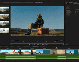 Premiere Pro 25.5 porta oltre 90 nuovi effetti, transizioni e animazioni