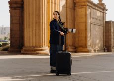 Peak Design Roller Pro