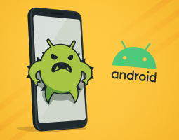 Android Canary : un aggiornamento da evitare per gli utenti Pixel?