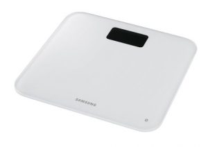 Body Scale