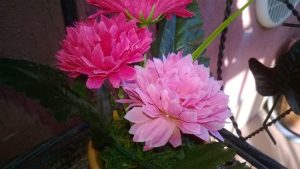 Foto Nokia Lumia 625