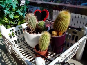 Foto Acer Iconia Tab A1