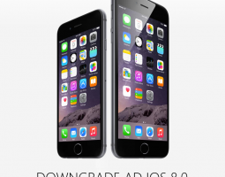iOS 8.0.2