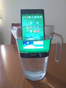 IMG_20150711_183625-225x300