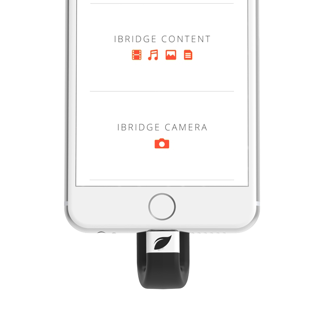 Leef_iBRIDGE_Render_PluggedIn[2]