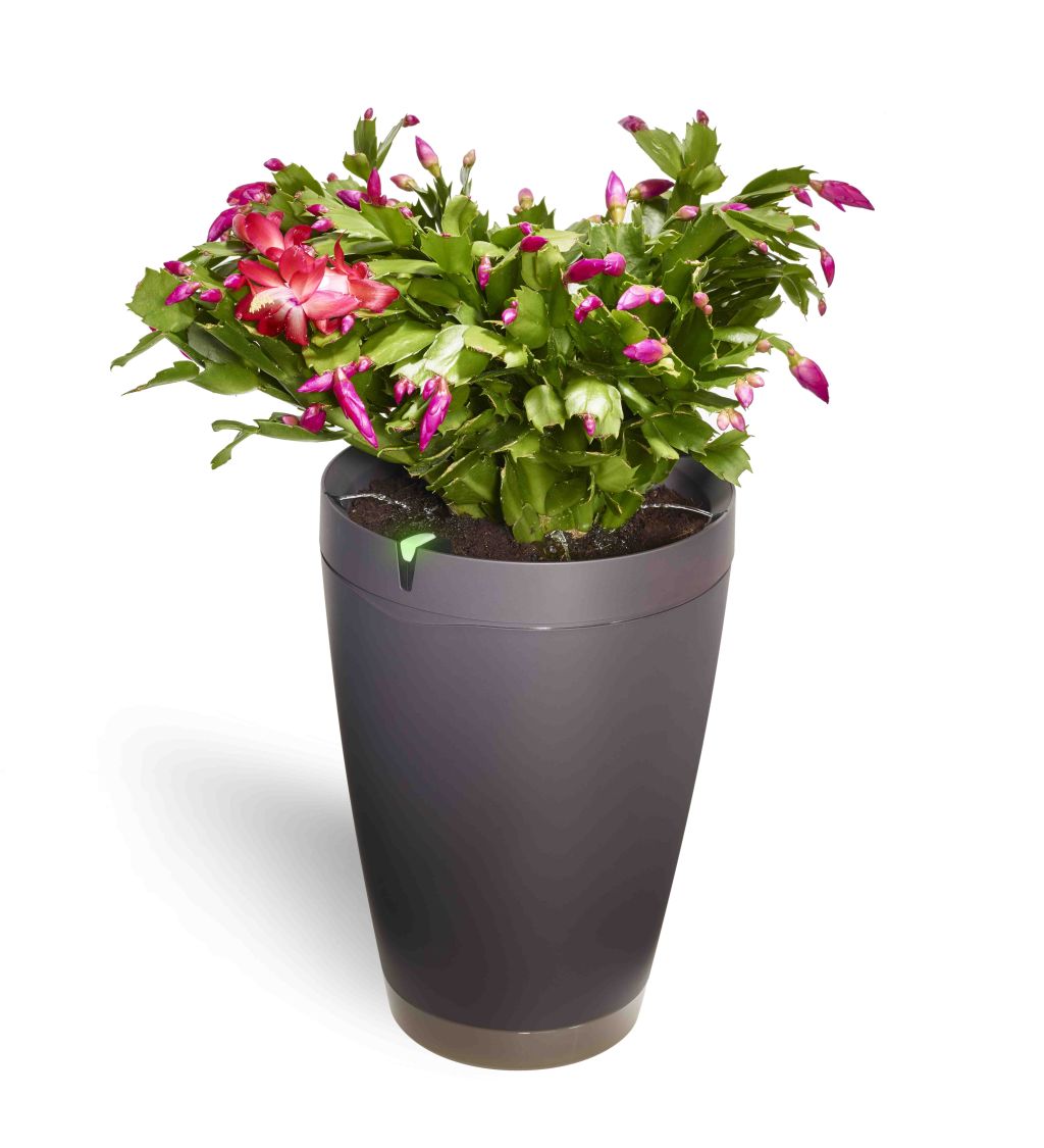 ParrotPOT_Waterjets-HD