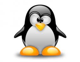 AI : possibili revisioni del kernel Linux? Ecco cosa sappiamo