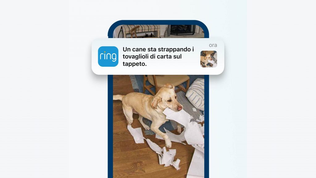 Ring aggiorna le videocamere con IA e più privacy