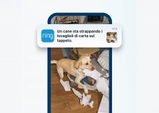 Ring aggiorna le videocamere con IA e più privacy