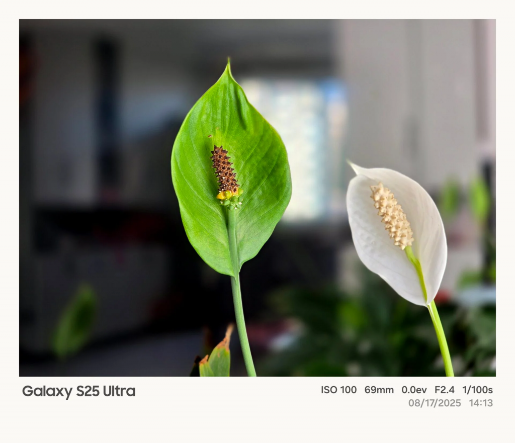 One UI 8.5 nuove opzioni watermark fotocamera e tuning delle immagini