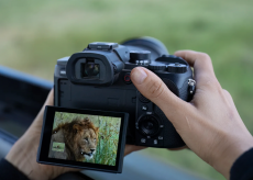 Sony RX10 V, fotocamera all-in-one per natura e sport