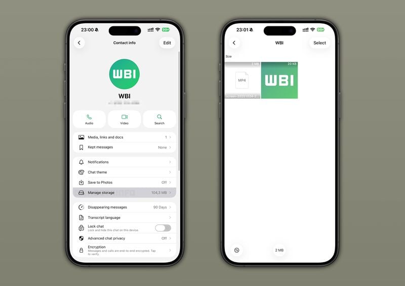 WhatsApp: arriva una nuova funzione per controllare meglio lo spazio occupato