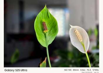 One UI 8.5 nuove opzioni watermark fotocamera e tuning delle immagini