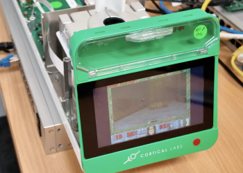 Neuroni Doom: un cervello umano gioca