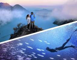 Photoshop & Premiere Elements 2026: Adobe porta l’IA generativa nella creatività quotidiana