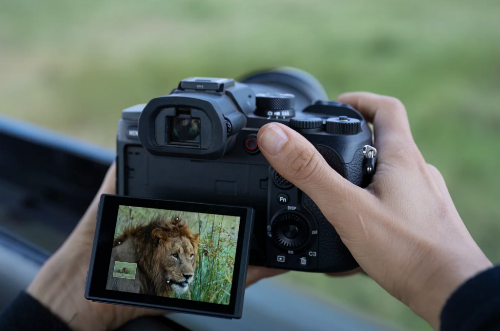 Sony RX10 V, fotocamera all-in-one per natura e sport