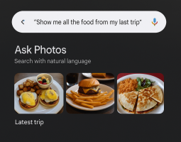 Google blocca temporaneamente Ask Photos