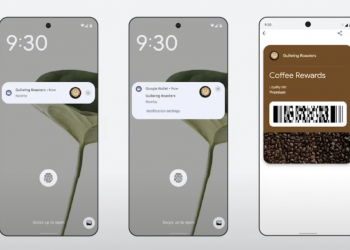 Google Wallet in arrivo nuove funzionalità
