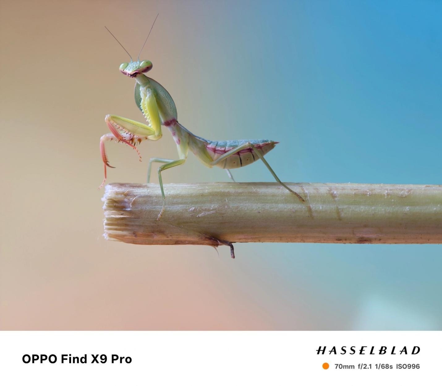OPPO Find X9 Pro: nuova frontiera dell’imaging mobile