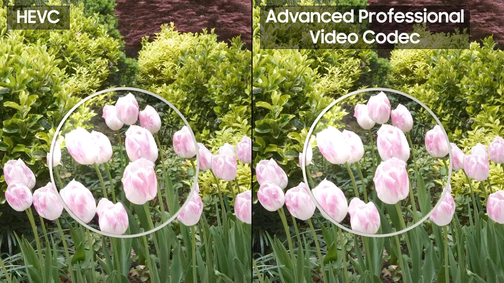 vivo X300 Ultra: supporto a codec APV di Samsung