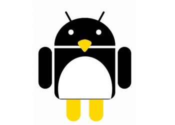 Terminale Linux Android: si sceglie tra qualità e prestazioni