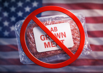 Carne coltivata: i divieti finiscono in tribunale