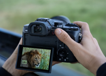 Sony RX10 V, fotocamera all-in-one per natura e sport