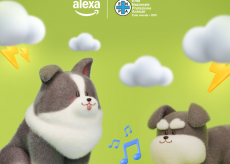 Alexa lancia CalmaZampa: la skill che protegge gli animali dai temporali