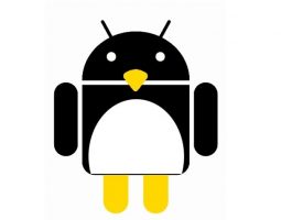 Terminale Linux Android: si sceglie tra qualità e prestazioni