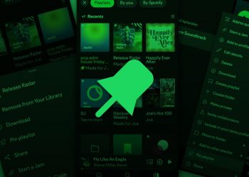 Spotify pin libreria: aumentato il numero massimo