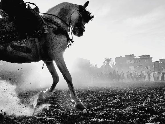 OPPO Photography Awards 2025: ecco i vincitori