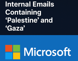 Microsoft blocca temporaneamente le email interne con i termini "Palestina" e "Gaza"