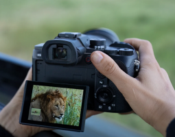 Sony RX10 V, fotocamera all-in-one per natura e sport