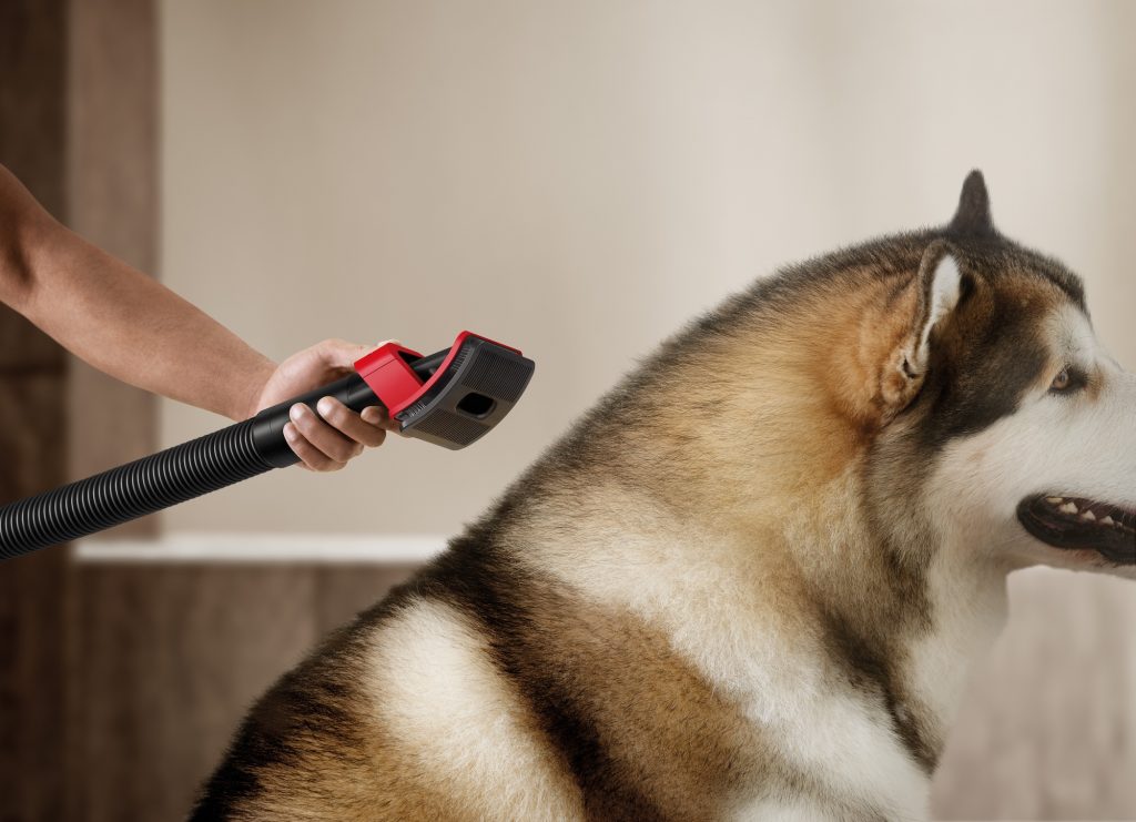 Dyson V16 Piston Animal debutta nella Giornata Mondiale degli Animali