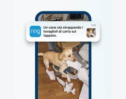 Ring aggiorna le videocamere con IA e più privacy