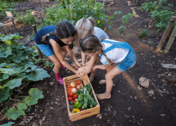 Microsoft Lombardia Community Challenge