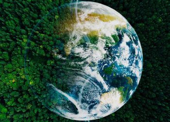 Frigoriferi e condizionatori: con LG e Cobat RAEE l’estate diventa sostenibile