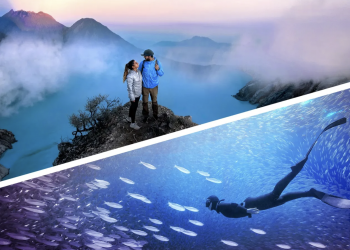 Photoshop & Premiere Elements 2026: Adobe porta l’IA generativa nella creatività quotidiana