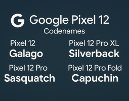 Google Pixel 12: già noti i nomi in codice