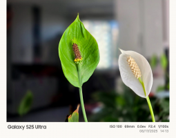 One UI 8.5 nuove opzioni watermark fotocamera e tuning delle immagini