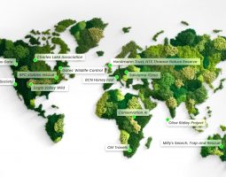 Reolink celebra la Giornata della Terra 2025