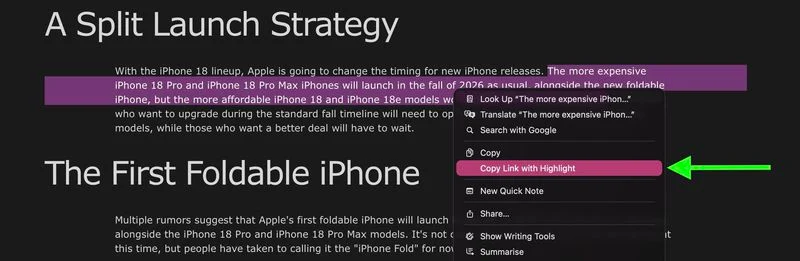 Link con evidenza Safari: salto diretto al testo