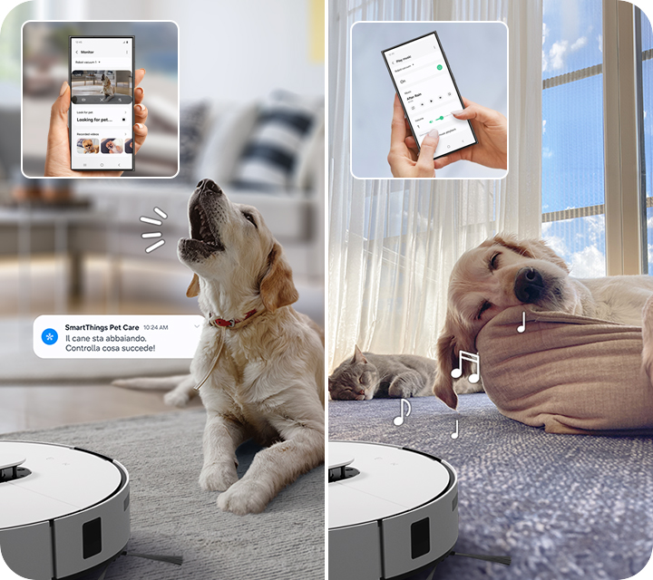 National Pet Day con Samsung: più pulizia, meno pensieri