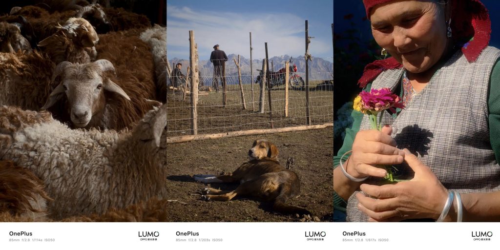 OnePlus 15: arrivano i primi sample fotografici con il nuovo sistema LUMO