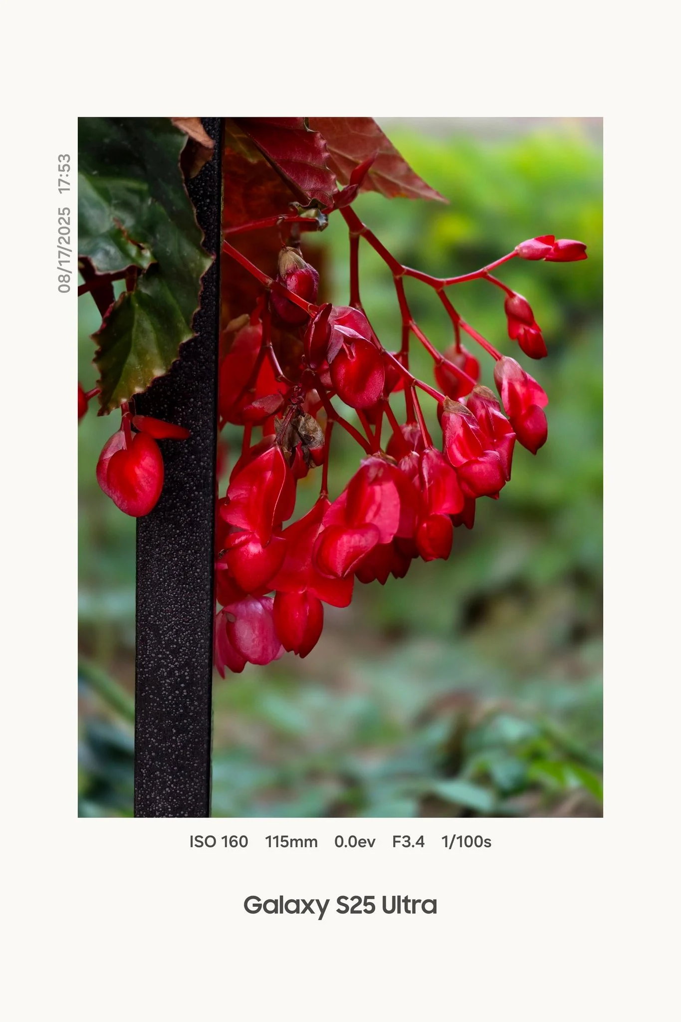 One UI 8.5 nuove opzioni watermark fotocamera e tuning delle immagini